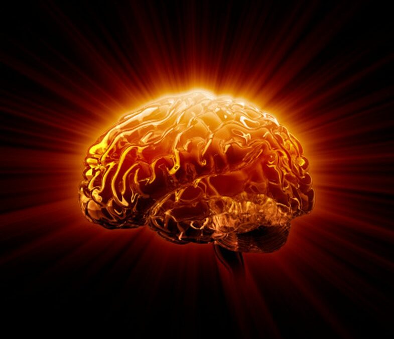 ¿Qué le pasa al cerebro cuando sentimos mucho calor? 